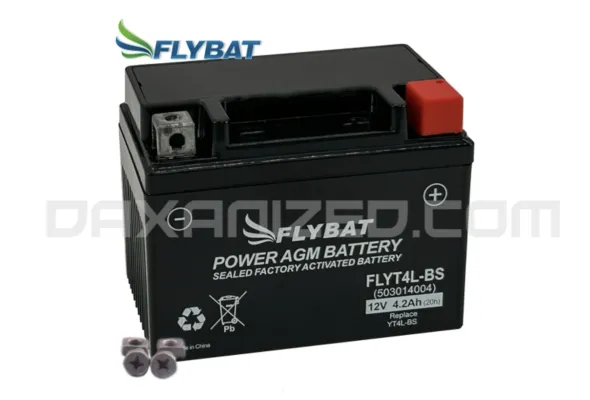AGM Batterie 12V Gel 4,2Ah YT4L-BS