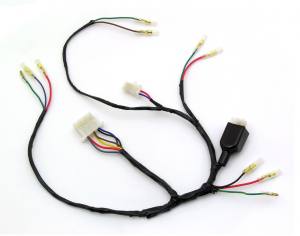Main wire harness Z50A K1
