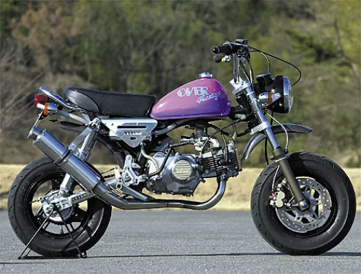 Over Racing-Down Muffler