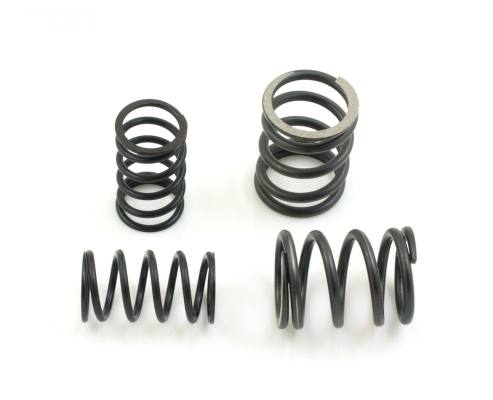 Valve Springs Special Race