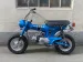 Honda Dax ST50 / CT70 Style
