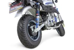 8 Rim or the Monkey