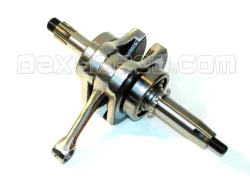 Dax Monkey 12V