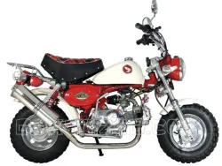 Takegawa Tuning Auspuff